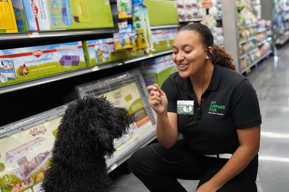 Pets supply stores best sale